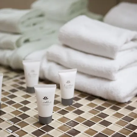 Laura Lux Gasthuis 4*